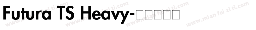 Futura TS Heavy字体转换